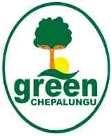 Green Chepalungu